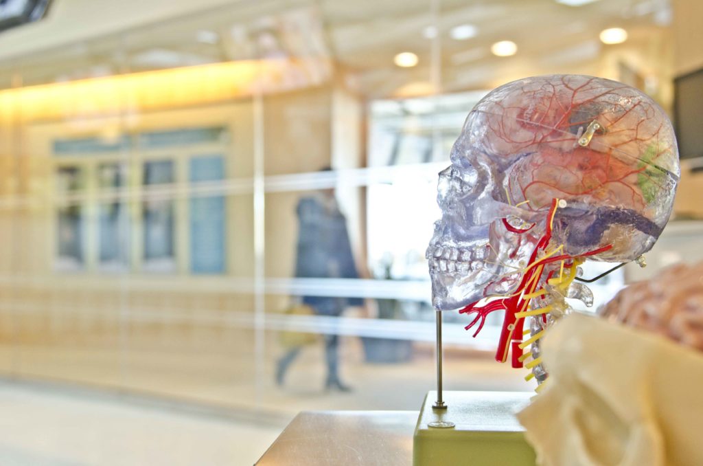 neurologia.jpg