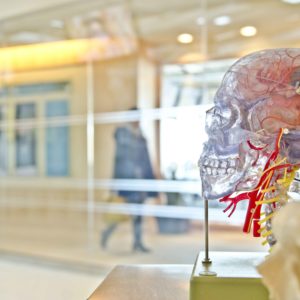 neurologia.jpg