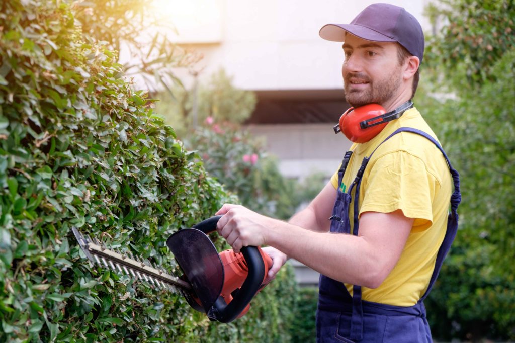 prl jardineria.jpg
