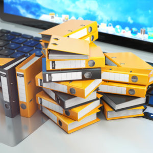 reproduccion informatico 1.jpg
