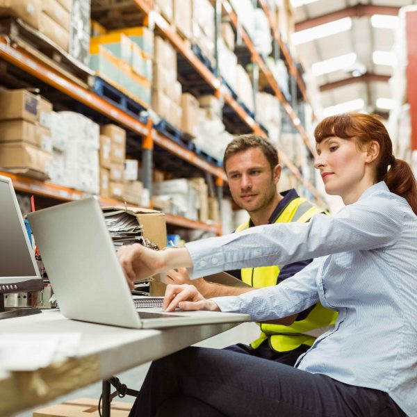 sap logistica 600x600 1.jpg