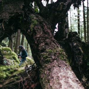 A photographer in the forest