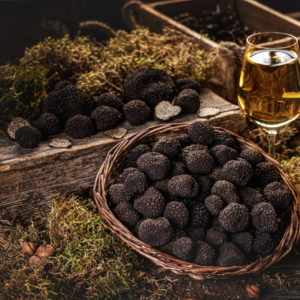 trufas negras recien cogidas mesa mercado decoracion muy elegante.jpg