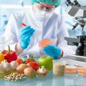 Seguridad alimentaria