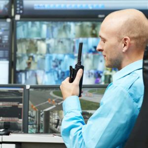 Seguridad y vigilancia
