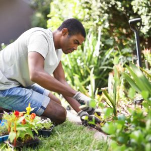 eliminando el problema de raiz captura recortada de un joven apuesto que trabaja en jardineria