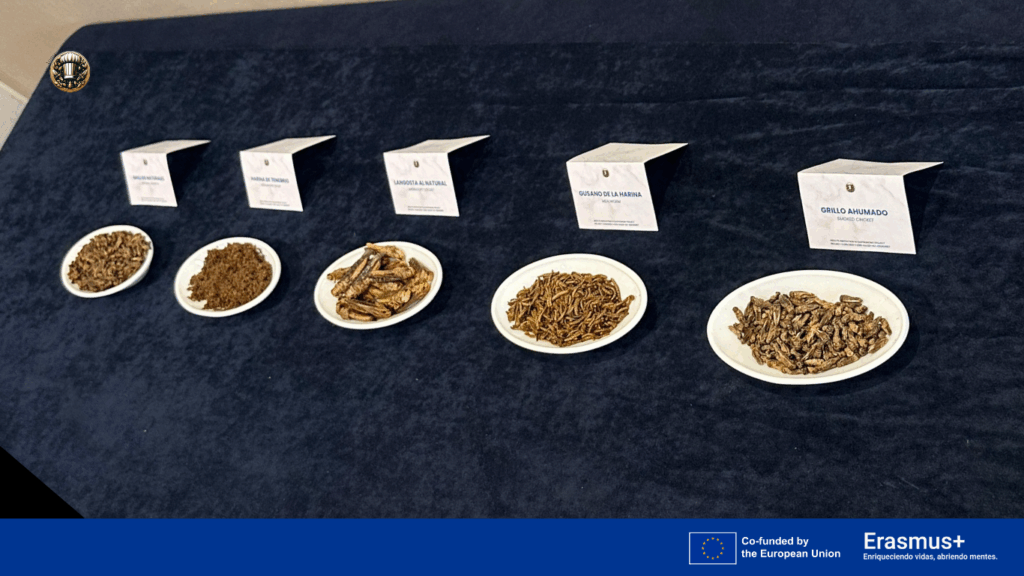 Informe sobre percepciones del consumo de insectos en Europa 2