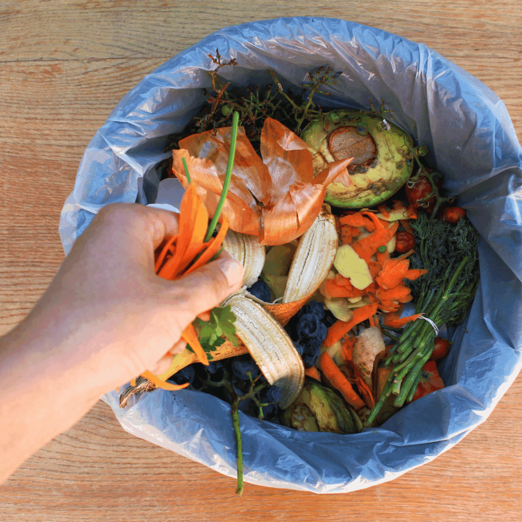 Prevención y reducción de pérdidas y desperdicio alimentario